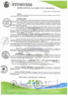 Vista preliminar de documento RA_077-2025