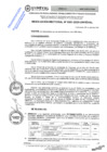 Vista preliminar de documento RES.RECT. N° 0361-2025-UNHEVAL