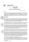 Vista preliminar de documento RES N° 213-2025-R-UNAMBA
