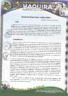 Vista preliminar de documento RESOLUCION DE ALCALDIA N.° 95-2025