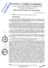 Vista preliminar de documento RES.RECT. N° 0377-2025-UNHEVAL