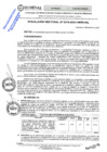 Vista preliminar de documento RES.RECT. N° 0374-2025-UNHEVAL
