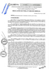 Vista preliminar de documento RESOLUCIÓN RECTORAL N° 0389-2025-UNHEVAL