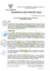 Vista preliminar de documento Resolución de Alcaldía N.°029-2025-MDSA