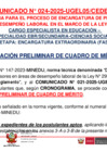 Vista preliminar de documento COMUNICADO 024-2025-CEDE2025 // PROCESO DE ENCARGATURA 2025 // PUBLICACIÓN PRELIMINAR DE CUADRO DE MÉRITO