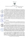 Vista preliminar de documento RER.275