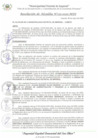 Vista preliminar de documento RA_153_2025_MDI