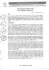 Vista preliminar de documento R.D. N°0239-2025-DIRESA-OGESS-HC/DG