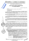 Vista preliminar de documento Resolución Consejo Universitario N° 1296-2025-UNHEVAL