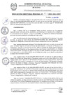 Vista preliminar de documento RDR 111-2025