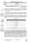 Vista preliminar de documento RDR 113-2025