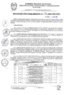 Vista preliminar de documento RDR 121-2025