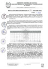 Vista preliminar de documento RDR 131-2025