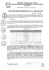 Vista preliminar de documento RDR 133-2025