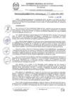 Vista preliminar de documento RDR 140-2025
