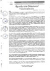 Vista preliminar de documento R.D. N°0243-2025-DIRESA-OGESS-HC