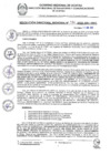 Vista preliminar de documento RDR 134-2025