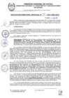 Vista preliminar de documento RDR 137-2025