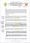 Vista preliminar de documento RESOLUCION N 317