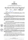 Vista preliminar de documento RDR N° 000023-2025-DRELP