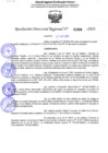 Vista preliminar de documento 01960 RDR 2024 ENCARGAR EN EL PUESTO DE JEFE DE UNIDAD DE INVESTIGACION A SANTOS BASILIO, KATHLEEN