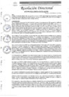 Vista preliminar de documento R.D. N°0246-2025-DIRESA-OGESS-HC