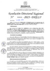 Vista preliminar de documento RDR N° 000026-2025-DRELP