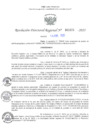 Vista preliminar de documento RDR N° 000028-2025-DRELP