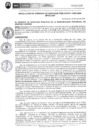 Vista preliminar de documento RGSP386-2024