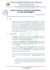 Vista preliminar de documento RESOLUCION DE GERENCIA MUNICIPAL N° 204-2025-GM-MDV