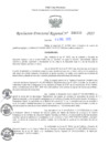 Vista preliminar de documento RDR N° 000030-2025-DRELP