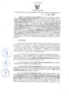 Vista preliminar de documento GGR. 141