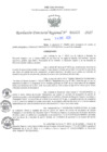 Vista preliminar de documento RDR N° 000032-2025-DRELP