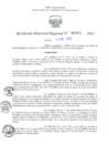 Vista preliminar de documento RDR N° 000034-2025-DRELP