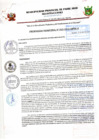 Vista preliminar de documento ORDENANZA MUNICIPAL N010-2015-MPPA-A
