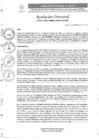 Vista preliminar de documento R.D. N°0251-2025-DIRESA-OGESS-HC