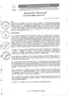 Vista preliminar de documento R.D. N°0252-2025-DIRESA-OGESS-HC