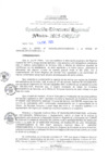 Vista preliminar de documento RDR N° 000038-2025-DRELP