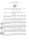 Vista preliminar de documento RDR N° 000039-2025-DRELP