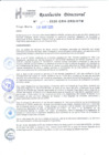 Vista preliminar de documento RESOLUCION DIRECTORAL Nº161-2025-GRH-DRS-HTM