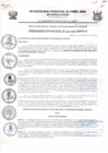 Vista preliminar de documento ORDENANZA MUNICIPAL N020-2015-MPPA-A