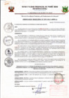 Vista preliminar de documento ORDENANZA MUNICIPAL N024-2015-MPPA-A