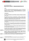 Vista preliminar de documento RU-0023-2025-MIDIS-PNPAIS-UPS