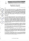 Vista preliminar de documento R.D. N°0262-2025-DIRESA-OGESS-HC