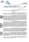 Vista preliminar de documento Resolucion Directoral N° 003017-2025