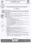 Vista preliminar de documento OM 009-2025-CM-MPCH REGLAMENTO DEL PROCESO