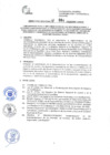 Vista preliminar de documento DIRECTIVA REG.004