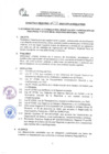 Vista preliminar de documento DIRECTIVA .003