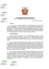 Vista preliminar de documento RDE N° 107-2025-DE