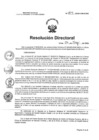 Vista preliminar de documento RD N°209-2025-HNCH-DG